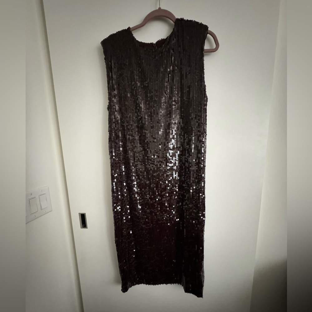 Zara Brown Sequin Dress